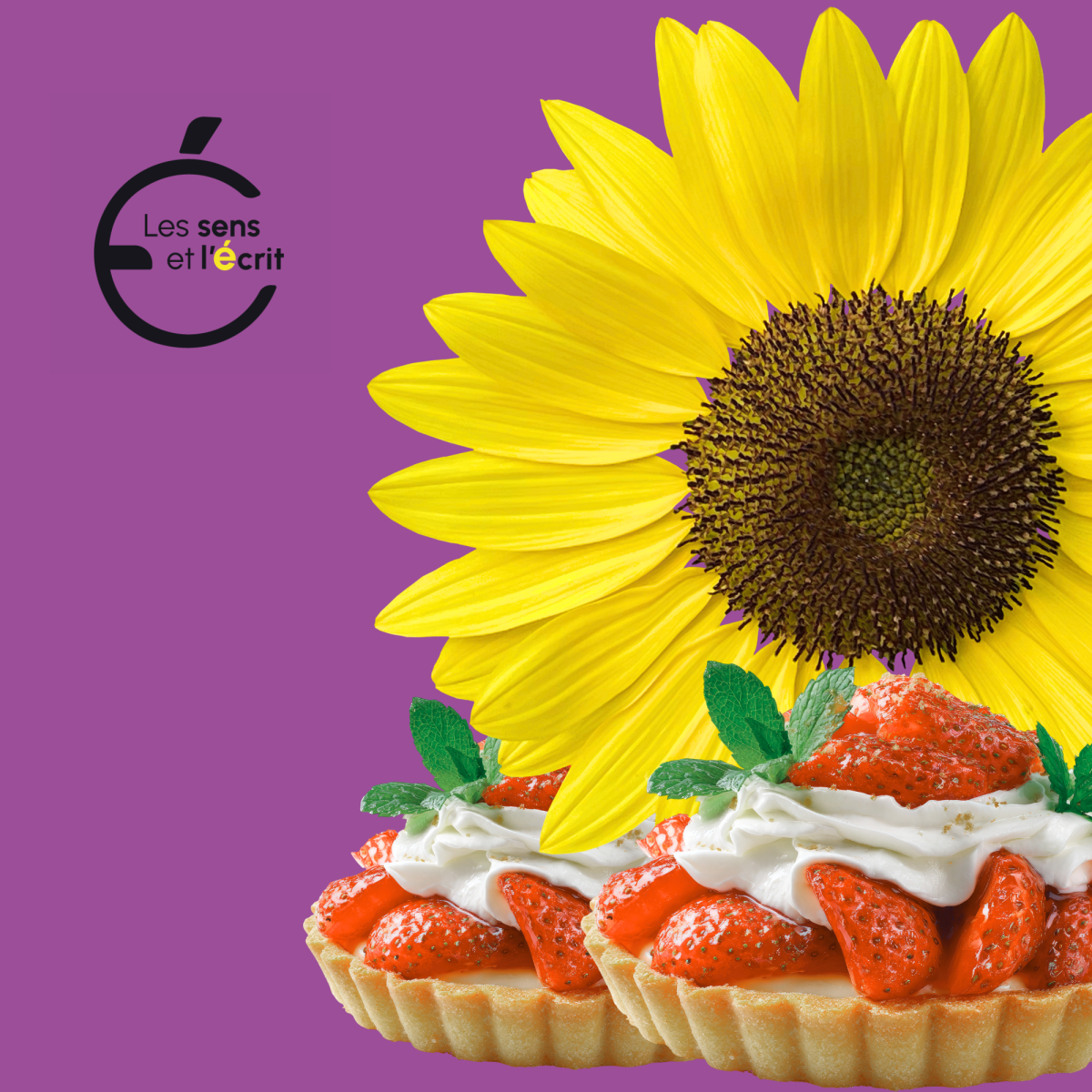 logo de la newsletter tartes aux fraises et tournesol